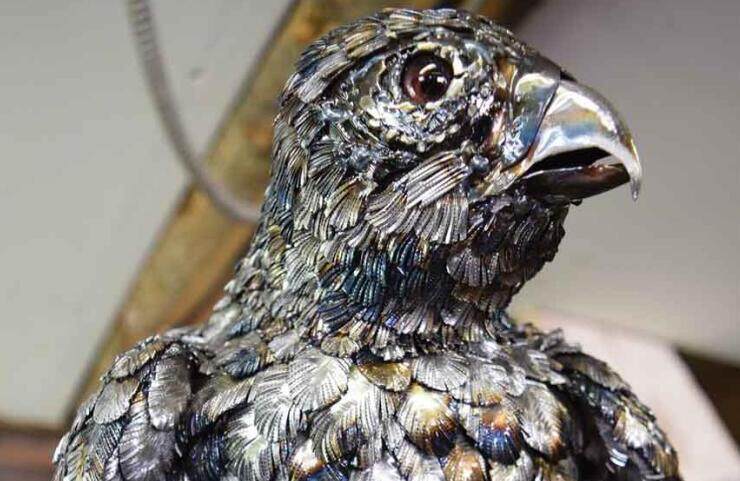 全球钣金新闻-金属制造狂:焊工制作动物的金属钣金